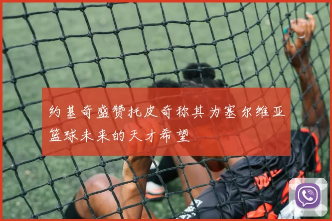 约基奇盛赞托皮奇称其为塞尔维亚篮球未来的天才希望