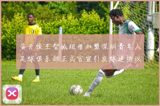黄开俊王智诚租借加盟深圳青年人足球俱乐部正式官宣引发球迷热议