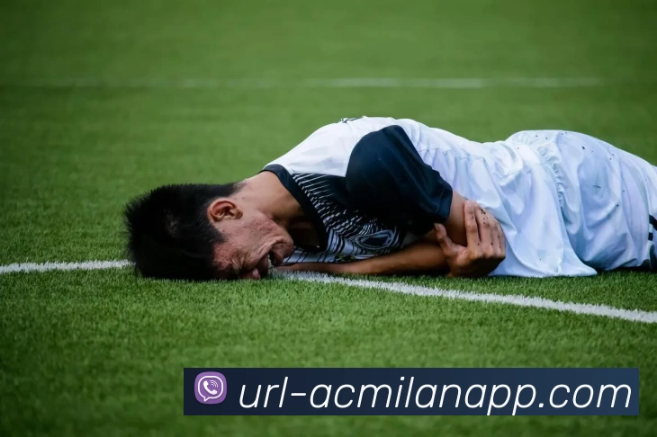 多媒体互动体验